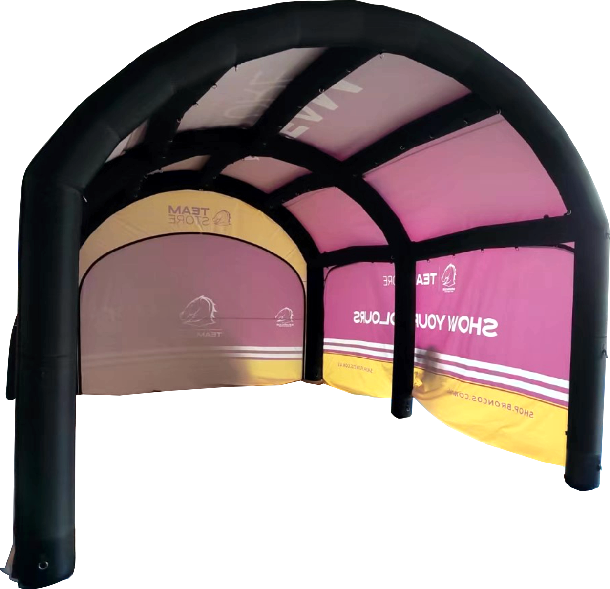 4m x 6m Custom Polaris | High Pressure Inflatables