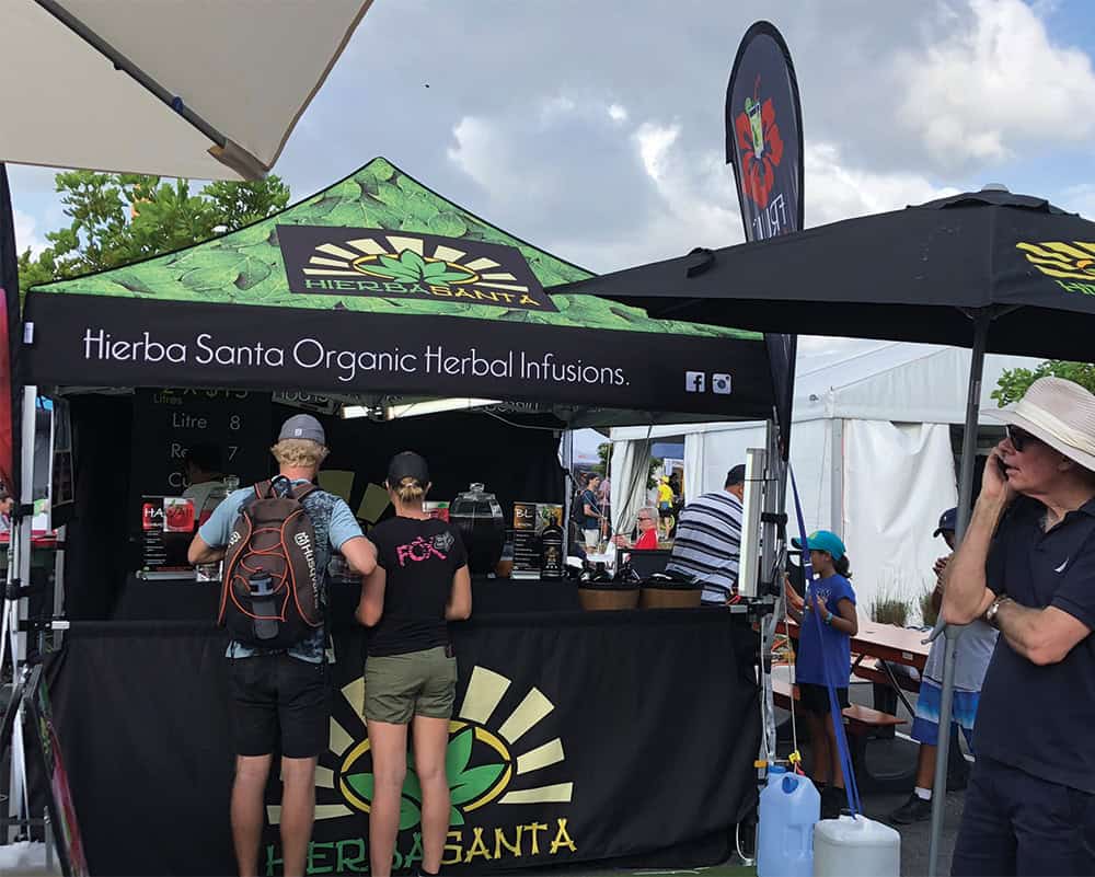 3x3 printed gazebo package 12